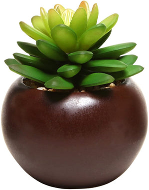 Potted Artificial Mini Succulent Plants