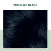 Clairol Natural Instincts Semi-Permanent, 2BB Blue Black