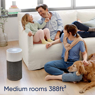 Blue Pure 311 Auto Medium Room Air Purifier with Auto mode for allergies