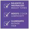 Blonde Assure Purple Shampoo, Color Care Shampoo