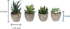 Decorative Artificial Succulent Plants