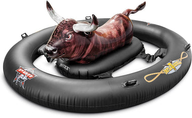 Inflatable Ride-On Pool Toy