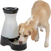 PetSafe Healthy Pet Gravity Food or Water Station