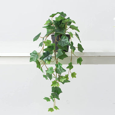 Hejdeco Ivy Hanging Potted Plants