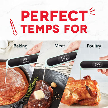 Dash Precision Quick-Read Meat Thermometer