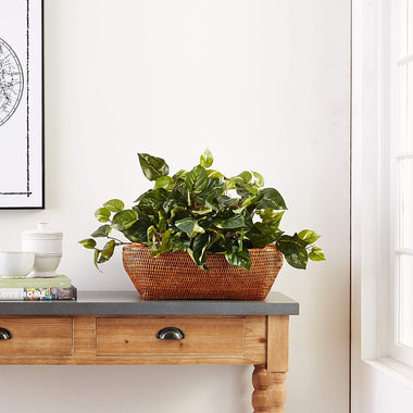 Nearly Natural 15in Pothos Ledge