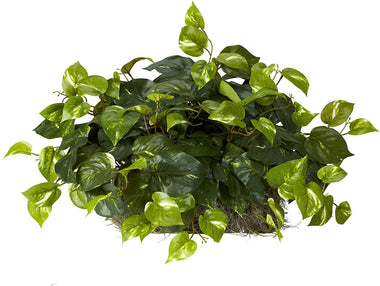 Nearly Natural 15in Pothos Ledge