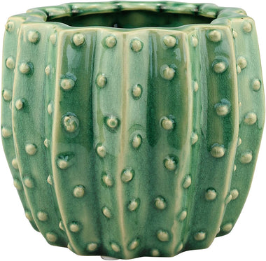 Stonebriar Decorative  Ceramic Green Cactus