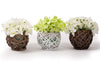 Small Indoor Artificial Hydrangea Flowers in Woven Wicker Plant Basket Pots .