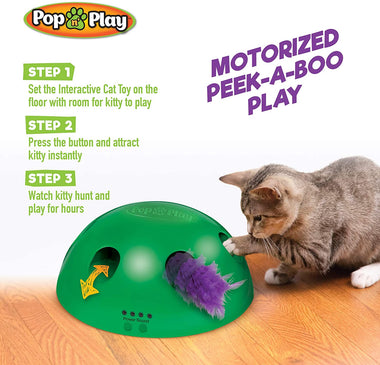 Allstar Innovations Pop N’ Play Interactive Motion Cat Toy