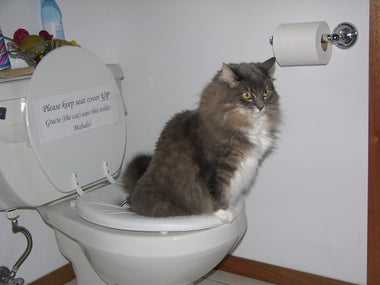 CitiKitty As Seen on Shark Tank Cat Toilet Training Kit