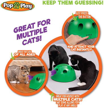 Allstar Innovations Pop N’ Play Interactive Motion Cat Toy