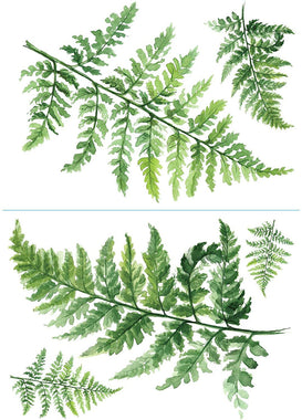 Watercolor Fern XL Giant Peel and Stick Wall Decals