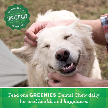 GREENIES Fresh Natural Dental Dog Treats