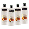 Botanique Conditioner Curl Hydration 22 oz, (Pack of 4)