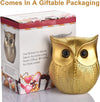 Owl Statue for Home Decor Accents Living Room