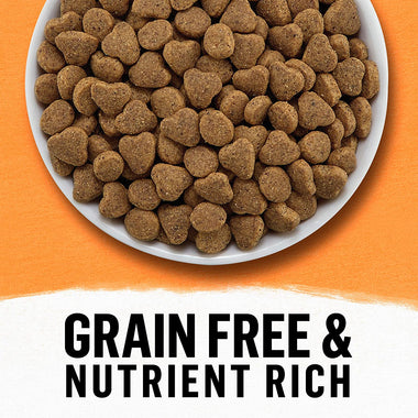 Purina Beyond Grain Free Natural Dry Cat Food