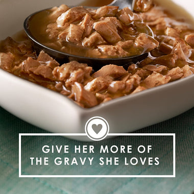 Purina Gravy Lovers Poultry & Beef