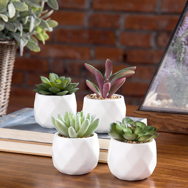 Mini Artificial Succulent Plants in Geometric Ceramic