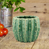 Stonebriar Decorative  Ceramic Green Cactus