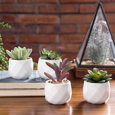 Mini Artificial Succulent Plants in Geometric Ceramic