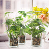 MyGift Set of 3 Artificial Plants