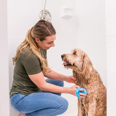 Aquapaw Pro Pet Grooming Sprayer and Scrubber