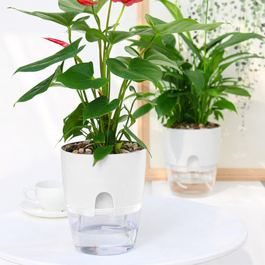 2 Layer Transparent Flowerpot Self Watering Plant
