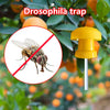 Pest Control Drosophila Catcher Fruit Fly Trap