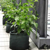 DIY Potato Grow Planter PE Cloth Planting Container Bag