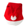 Christmas Hat for Adult Non Woven Santa