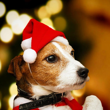 Christmas Pet Hat Christmas Cat Dog Ornament