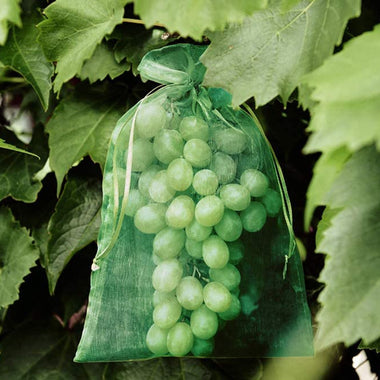 100pcs Garden Vegetable Fruit Grow Bag Plants Grapes Protection