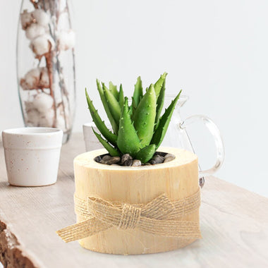 Creative Display Pine Candle Holder Succulent Flower