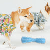 Dog Chew Toys TPR Pet Toothbrush Teeth Cleaning