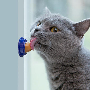 Cat Snacks Catnip Sugar Cat Treats Energy Ball