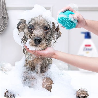 Pet Shampoo Hair Grooming Scrubber Brush