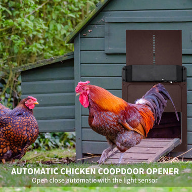 Automatic Chicken Coop Door Practical Chicken Pets Dog