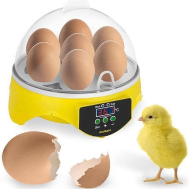 7 Eggs Incubator Chicken Bird