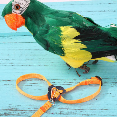 Parrot Bird Auto Traction Rope Puppy Retractable Leash Pet