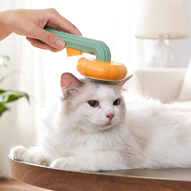 Pumpkin Pet Brush Pet Comb Cat
