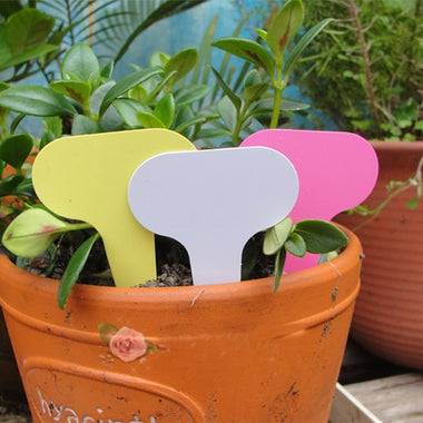 100pcs Gardening Labels 6 x10cm Plastic Plant T-type Tags