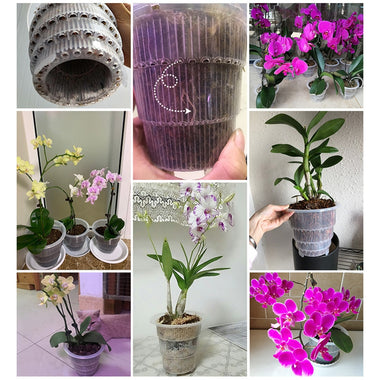 Resin Root Control Orchid Flower Mesh Pot