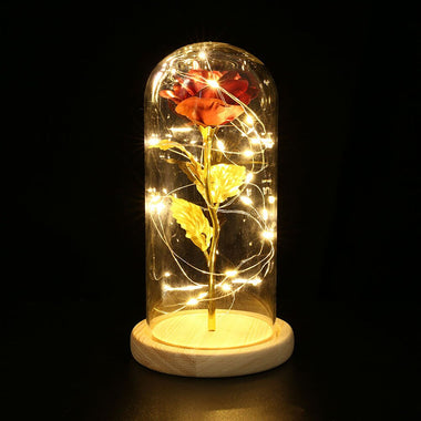 Red Rose In Flask Flower In Glass Dome