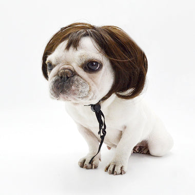Pet Wig Small Dog Cat Cospaly Cross Dressing Hair Set