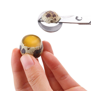 Multi-function Pigeon Quail Egg Scissors Household Stainless Steel Cracker