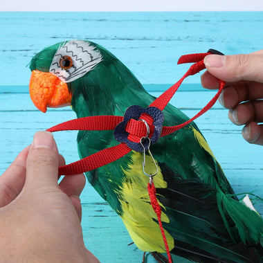 Parrot Bird Auto Traction Rope Puppy Retractable Leash Pet