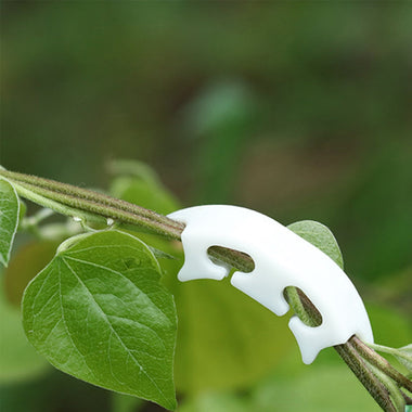 Plastic Plant Clips Supports Connects Reusable Protection Grafting Fixing Tool