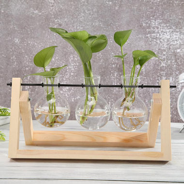 Nordic Glass Vases Transparent Water Hydroponics Flower