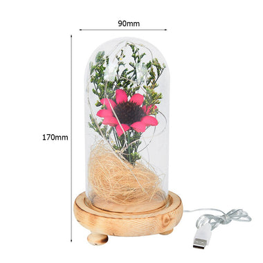 Sunflower Banquet Dried Flowers in Glass Dome Warm Light Bedside Lamp